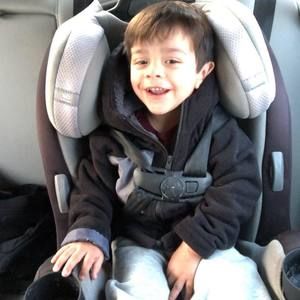 Meet your Posher, Rose